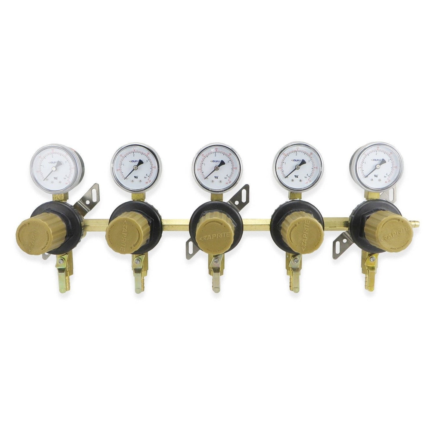 Secondary Five Way CO2 Regulator (60PSI) #T1695ST