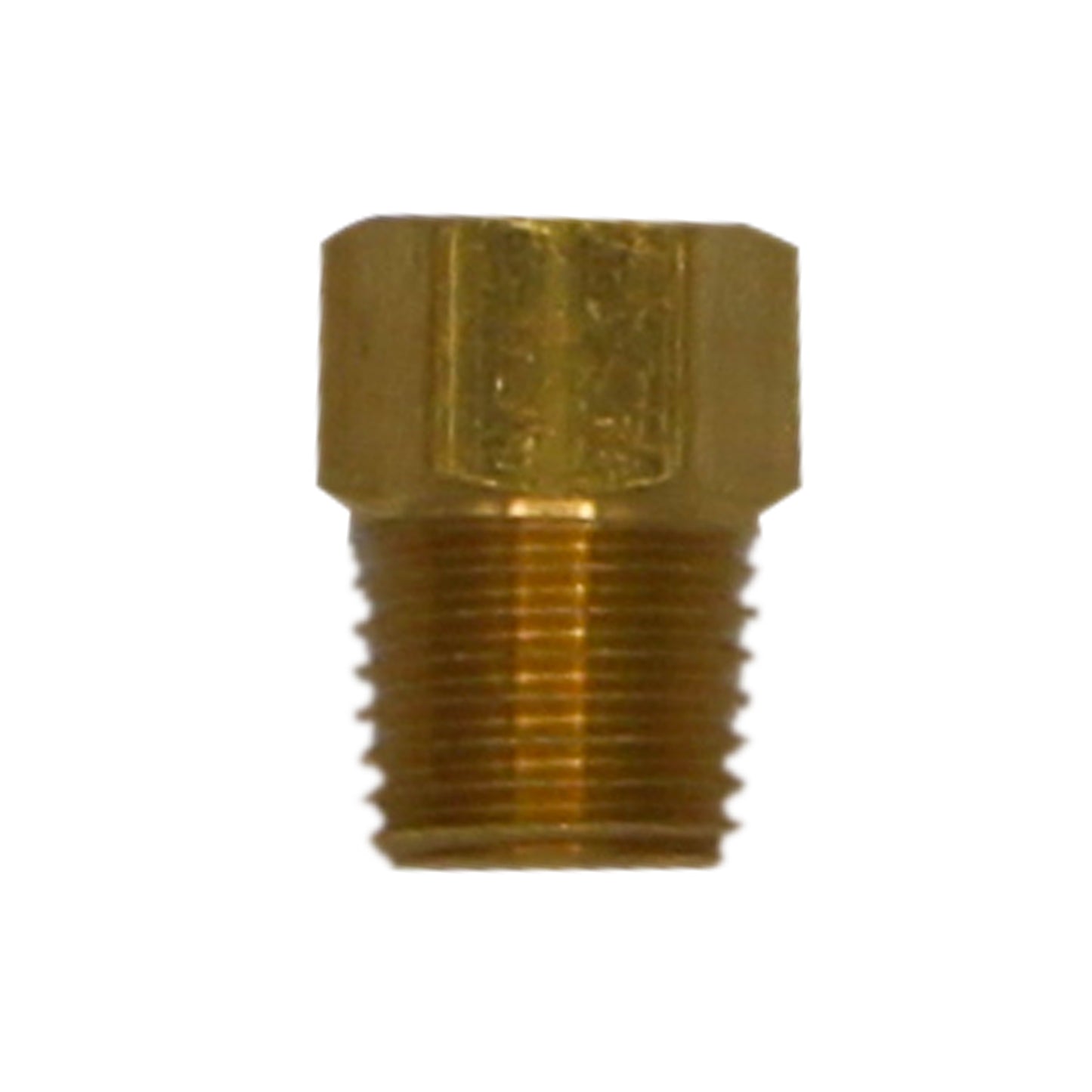 Taprite Brass Hex Plug - 1/4" Male NPT - #665U
