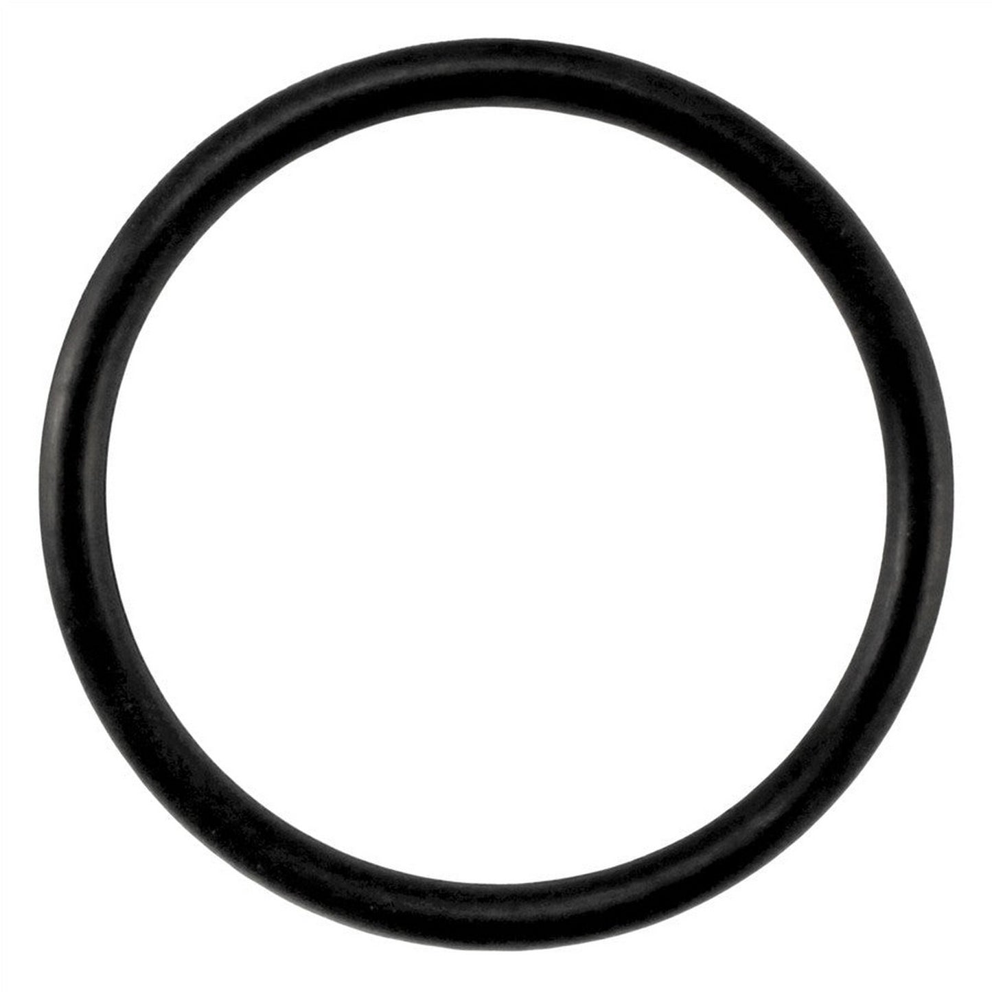 Taprite Replacement Body O-Ring for Sanke D & S Couplers