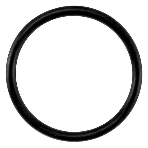 Taprite Replacement Body O-Ring for Sanke D & S Couplers