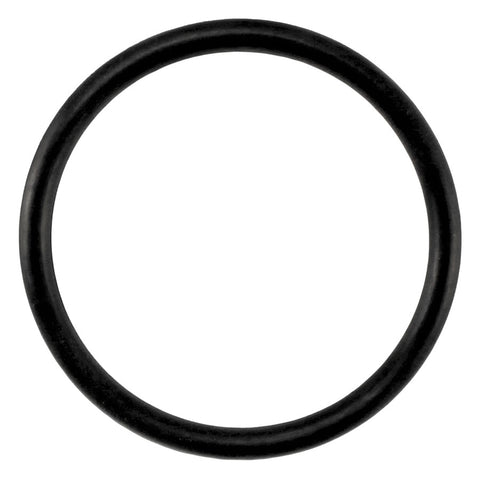 Taprite Replacement Body O-Ring for Sanke D & S Couplers