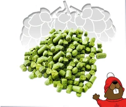 How Are Hop Pellets Made?
