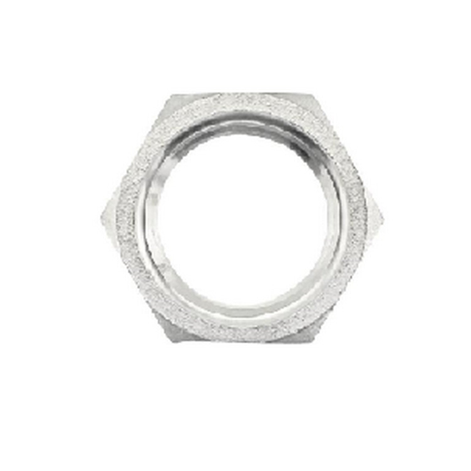 1" NPS Stainless Steel Lock Nut