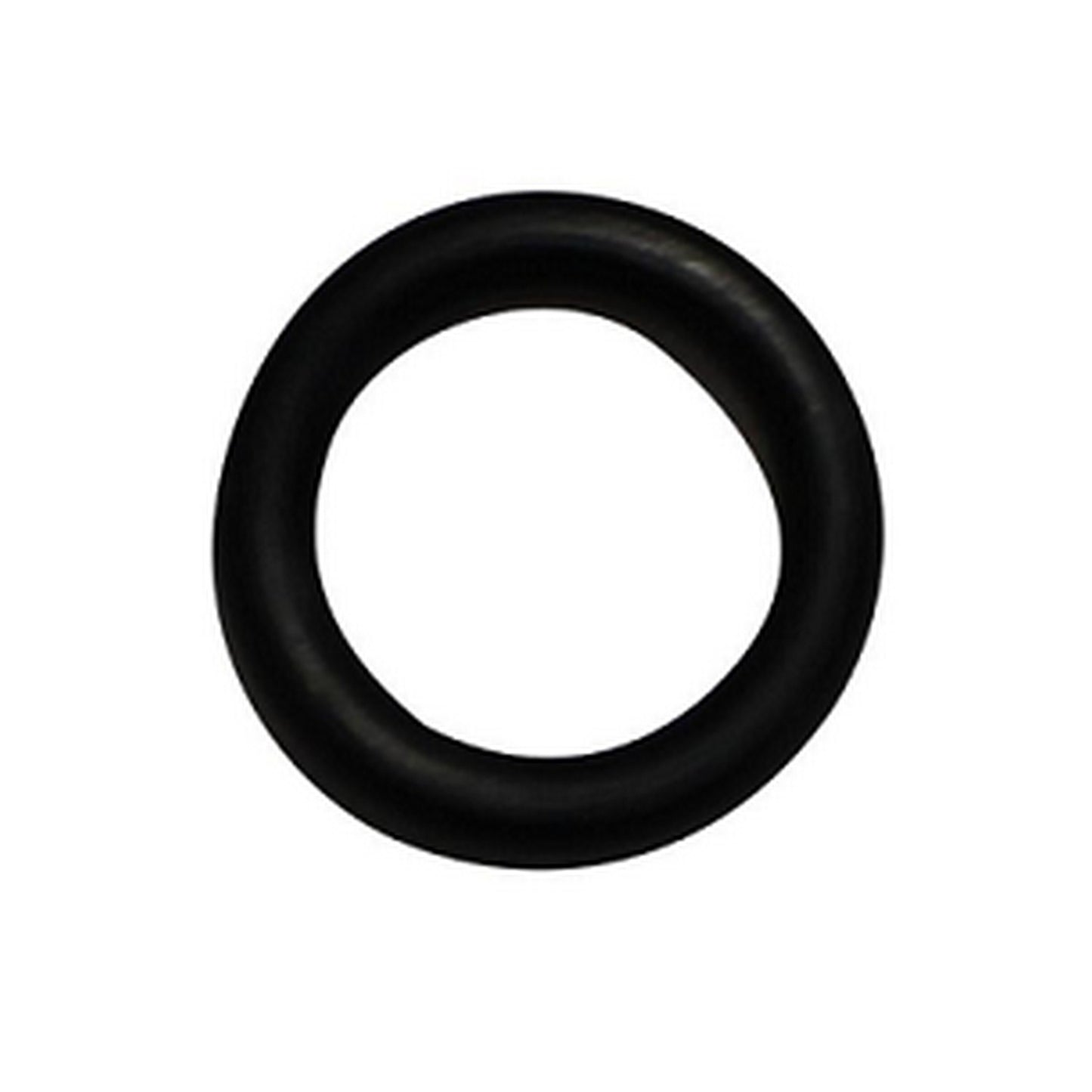 Diptube O-Ring