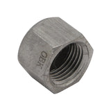 Kettle Cap - 1/2" Female NPT