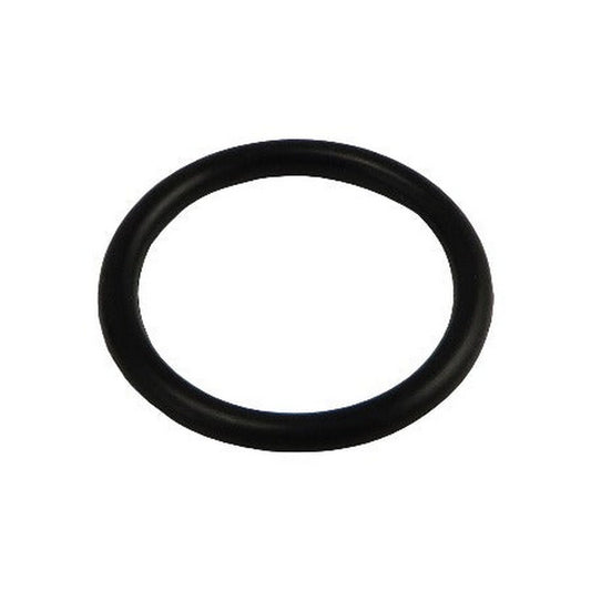 CO2 Tank O-Ring