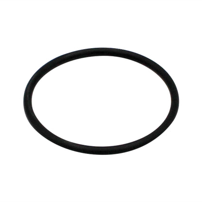Taprite Piston O-ring #70534