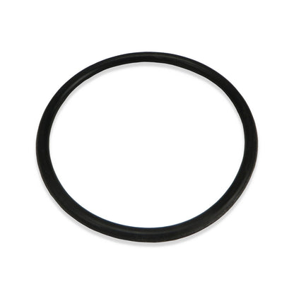 Piston O-Ring #70534