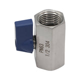 Stainless Steel 1/2" Female NPT Mini Ball Valve