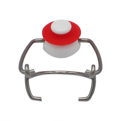 Grolsch Wire Tops (12 pack)