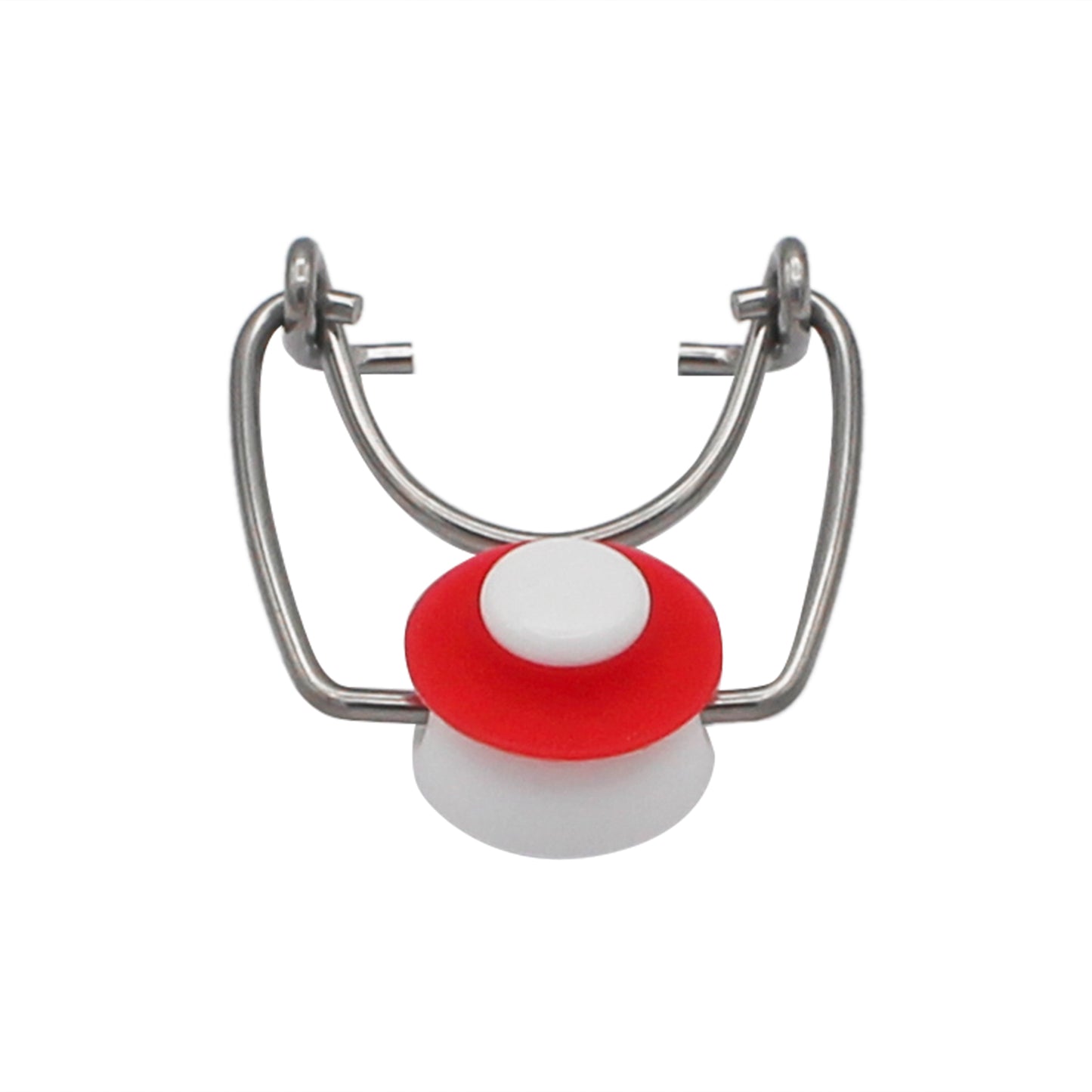 Grolsch Wire Tops (12 pack)