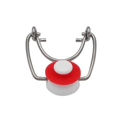 Grolsch Wire Tops (12 pack)