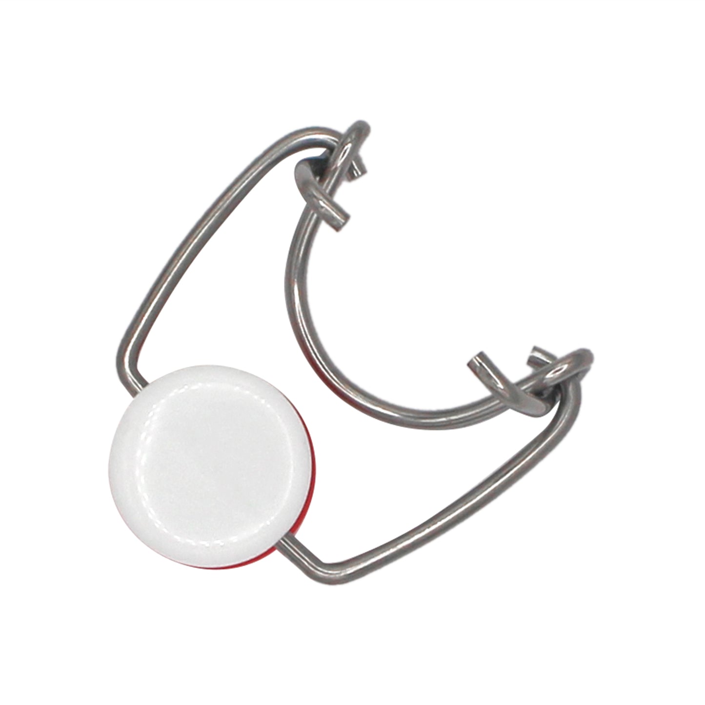 Grolsch Wire Tops (12 pack)