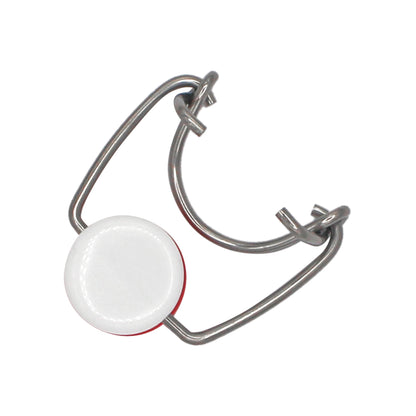 Grolsch Wire Tops (12 pack)