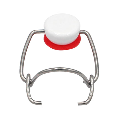 Grolsch Wire Tops (12 pack)