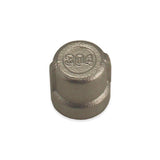 Stainless Steel End Cap - 1/8" FPT
