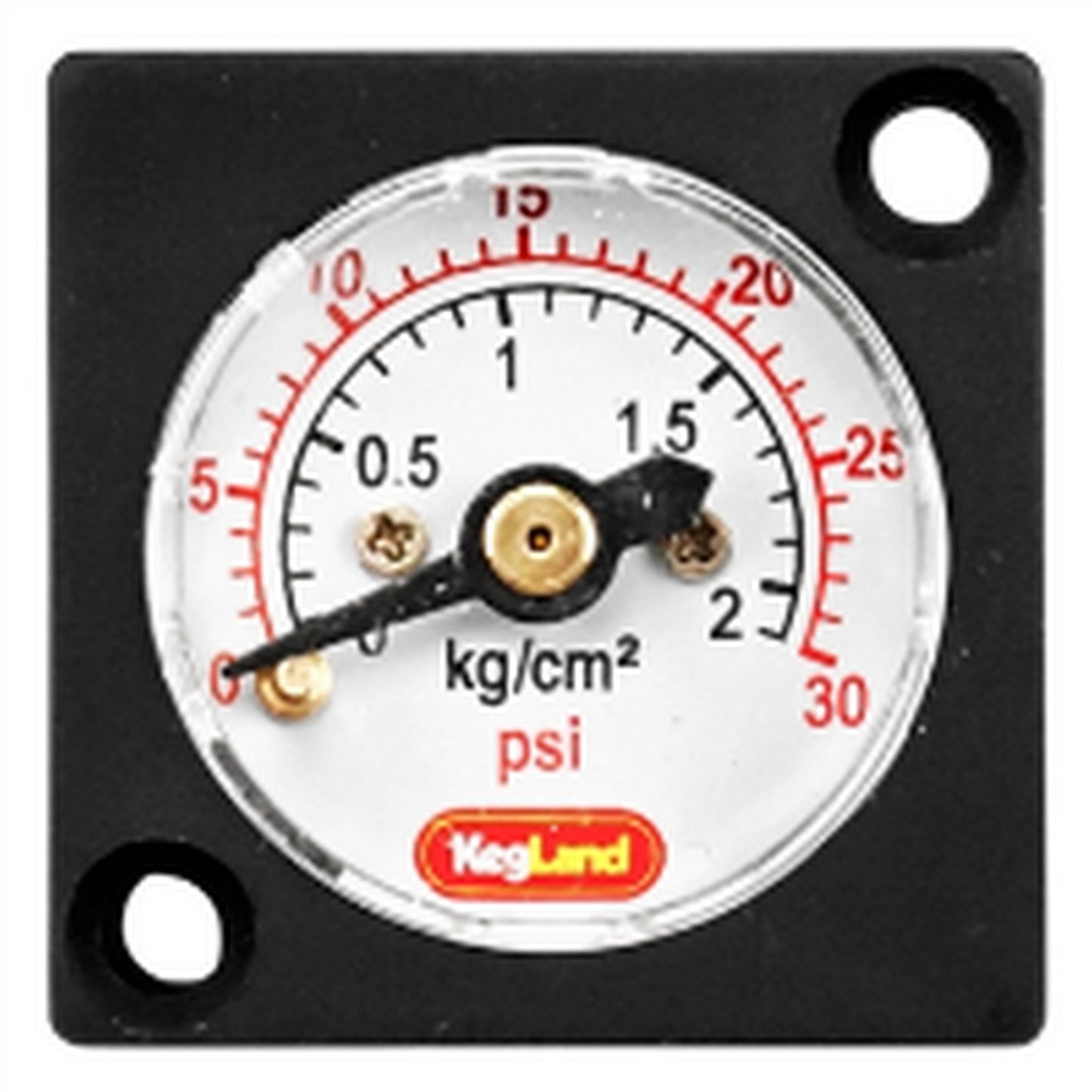 Mini Pressure Gauge (0-30 PSI)