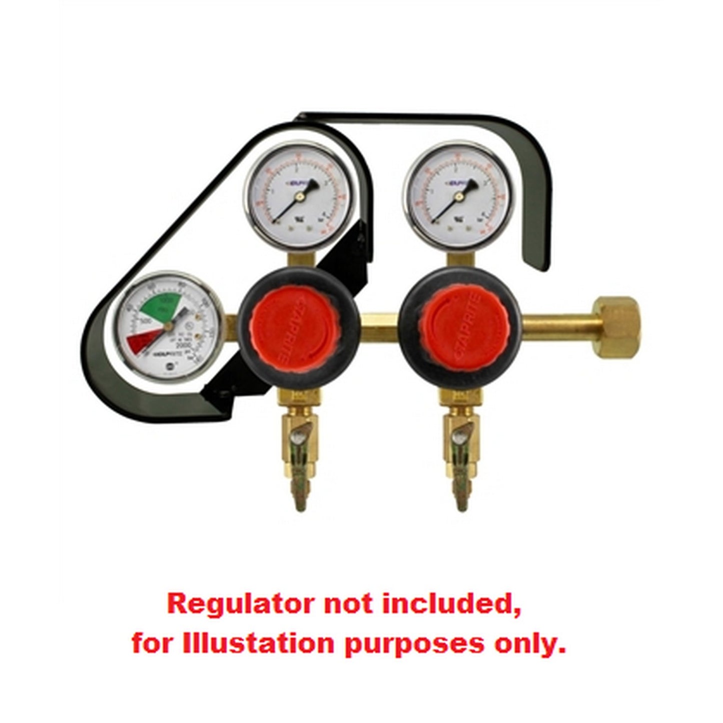 Taprite Triple Gauge Guard Shown with Regulator