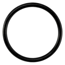 Taprite Replacement Body O-Ring for Sanke D & S Couplers 
