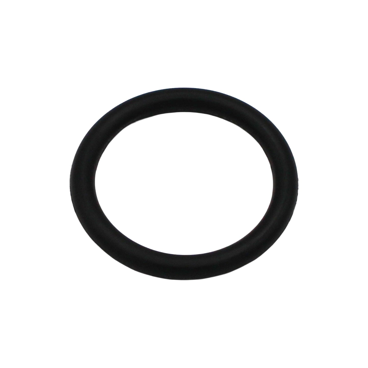 Taprite Replacement Probe O-ring for Sanke A & G Couplers [CH5903]