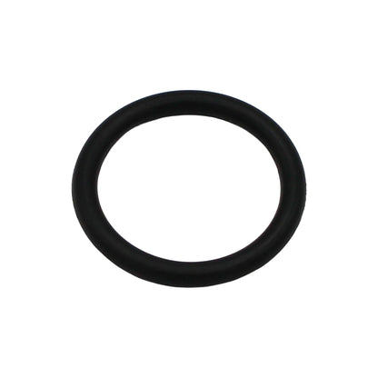 Taprite Replacement Probe O-ring for Sanke A & G Couplers [CH5903]