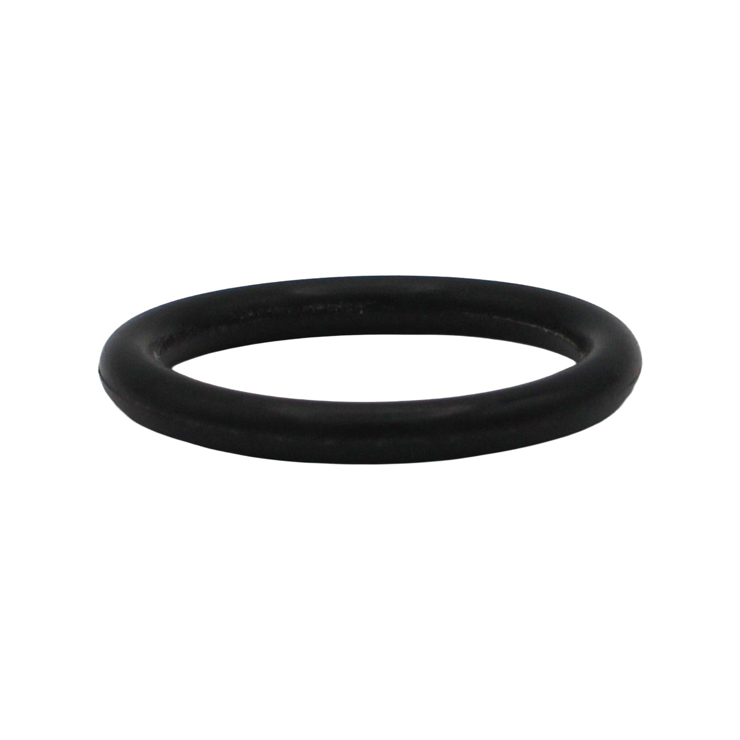 Taprite Replacement Probe O-ring for Sanke A & G Couplers [CH5903]