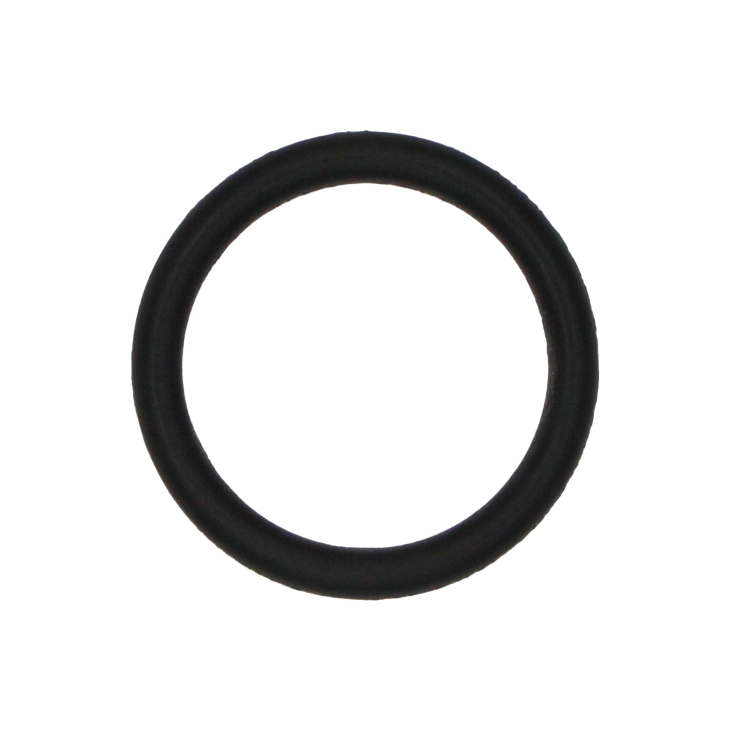 Taprite Replacement Probe O-ring for Sanke A & G Couplers [CH5903]