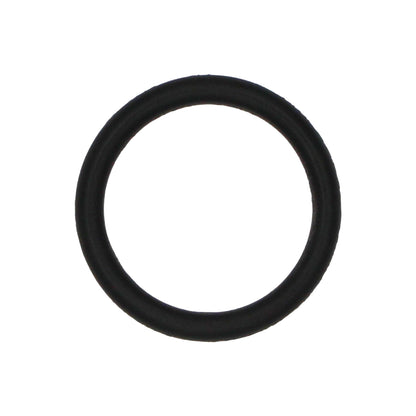 Taprite Replacement Probe O-ring for Sanke A & G Couplers [CH5903]
