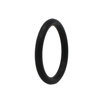Taprite Replacement Probe O-ring for Sanke A & G Couplers [CH5903]