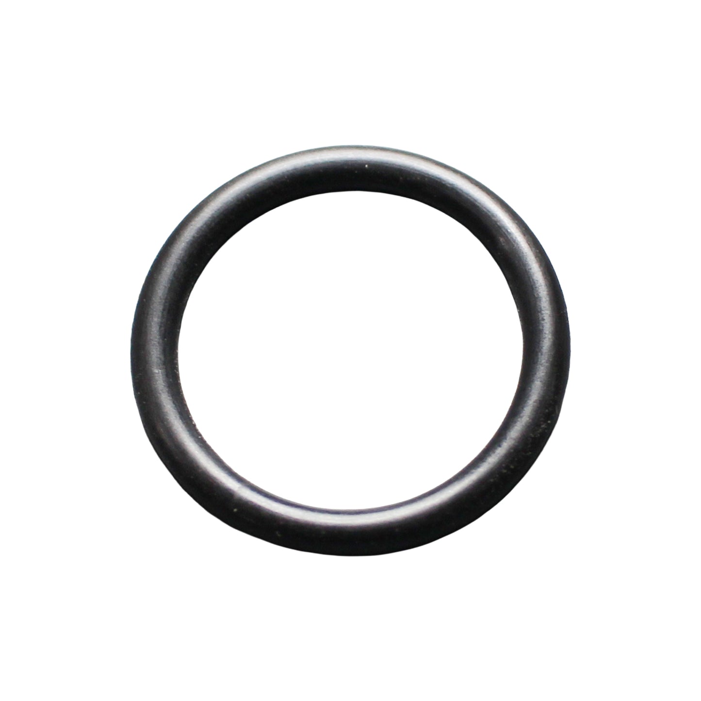 Taprite Replacement Probe O-ring for Sanke A & G Couplers [CH5903]