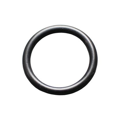 Taprite Replacement Probe O-ring for Sanke A & G Couplers [CH5903]