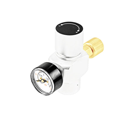 "Mini-Keg" Basic Growler Dispensing Kit