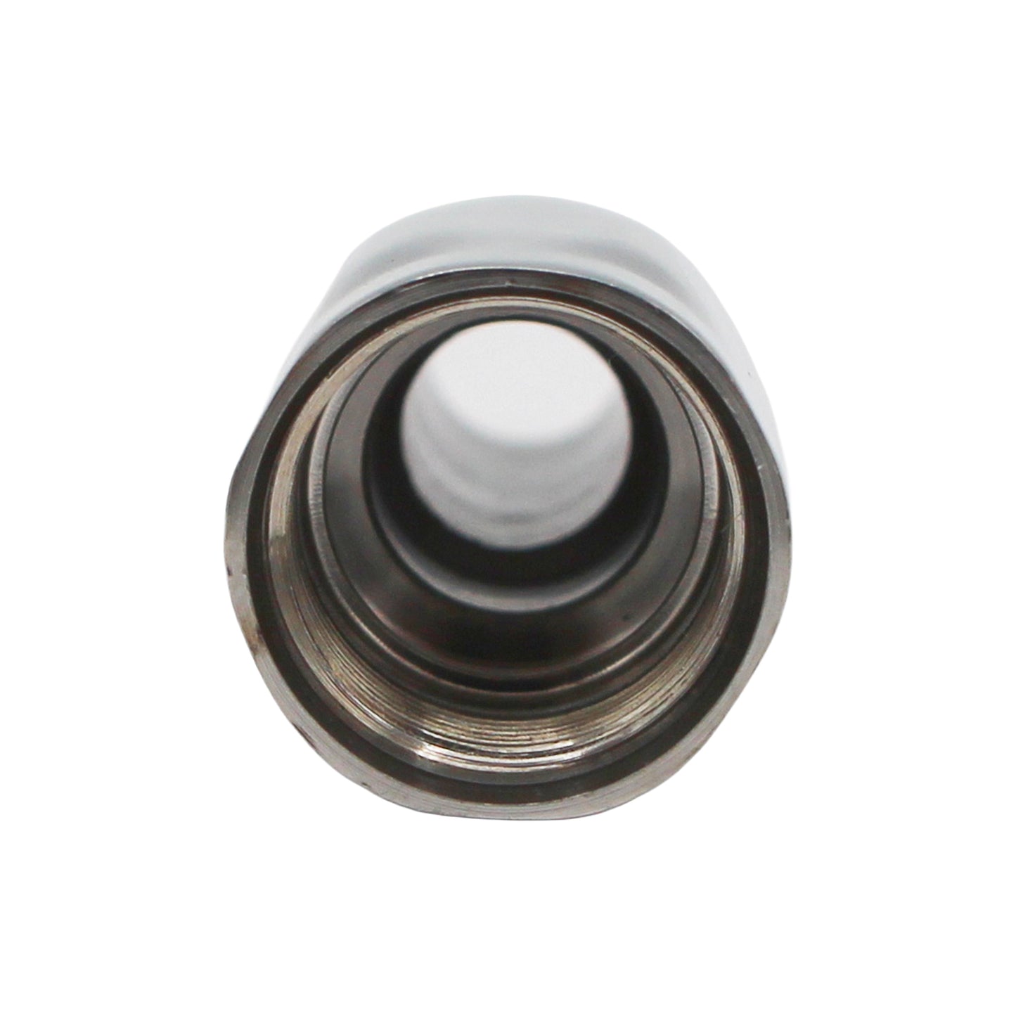 Taprite Stainless Steel Stout Spout