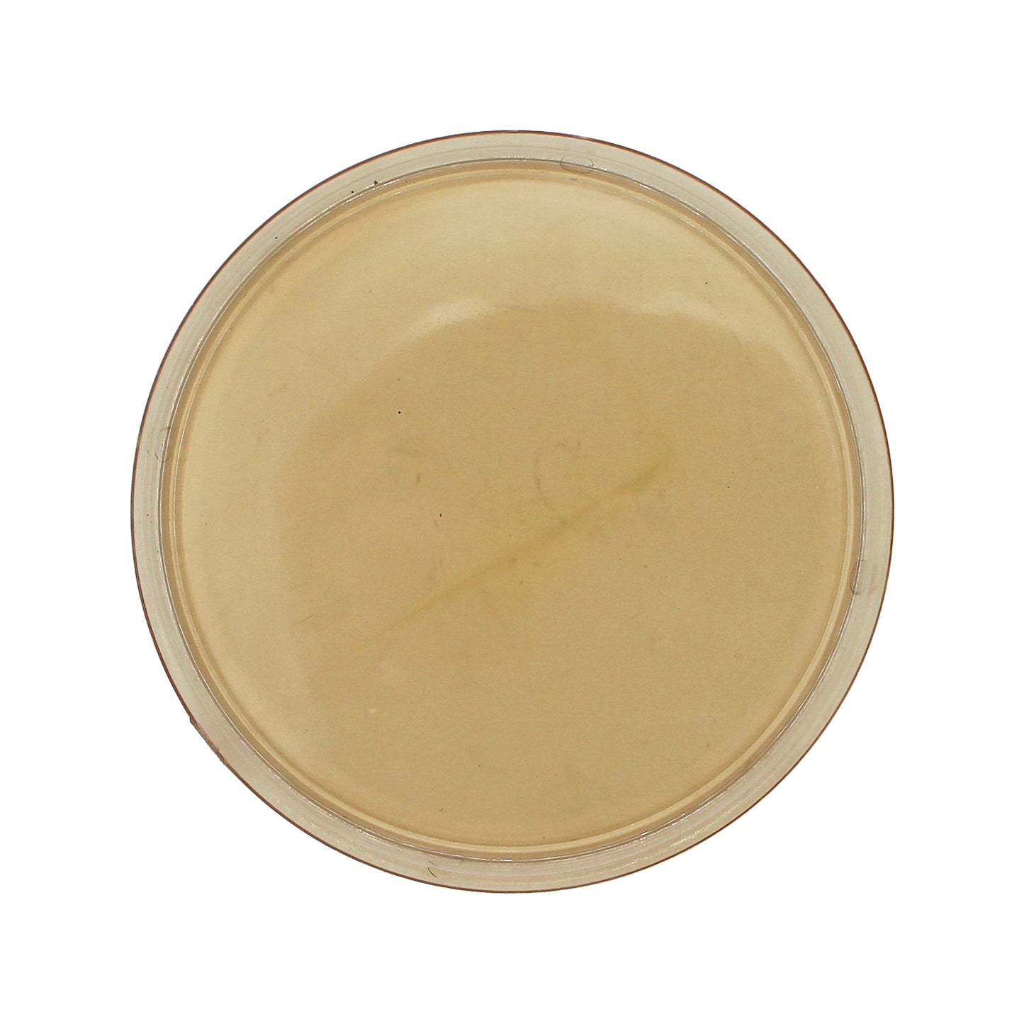 BrewZilla 3" Tri Clamp End Viewing Cap - Polyphenylsulfone Tri Clover Sanitary Fitting