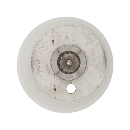 Stainless Steel Bubble Plate - 2 TC