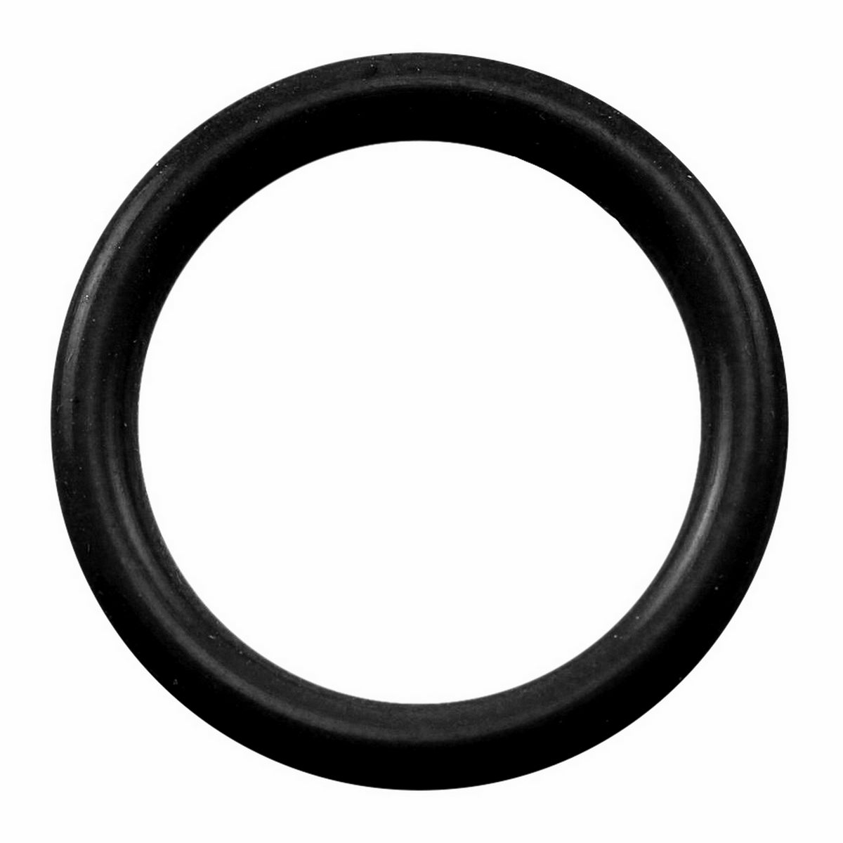 Duotight (Push-In) Inline Filter Buna-N O-Ring