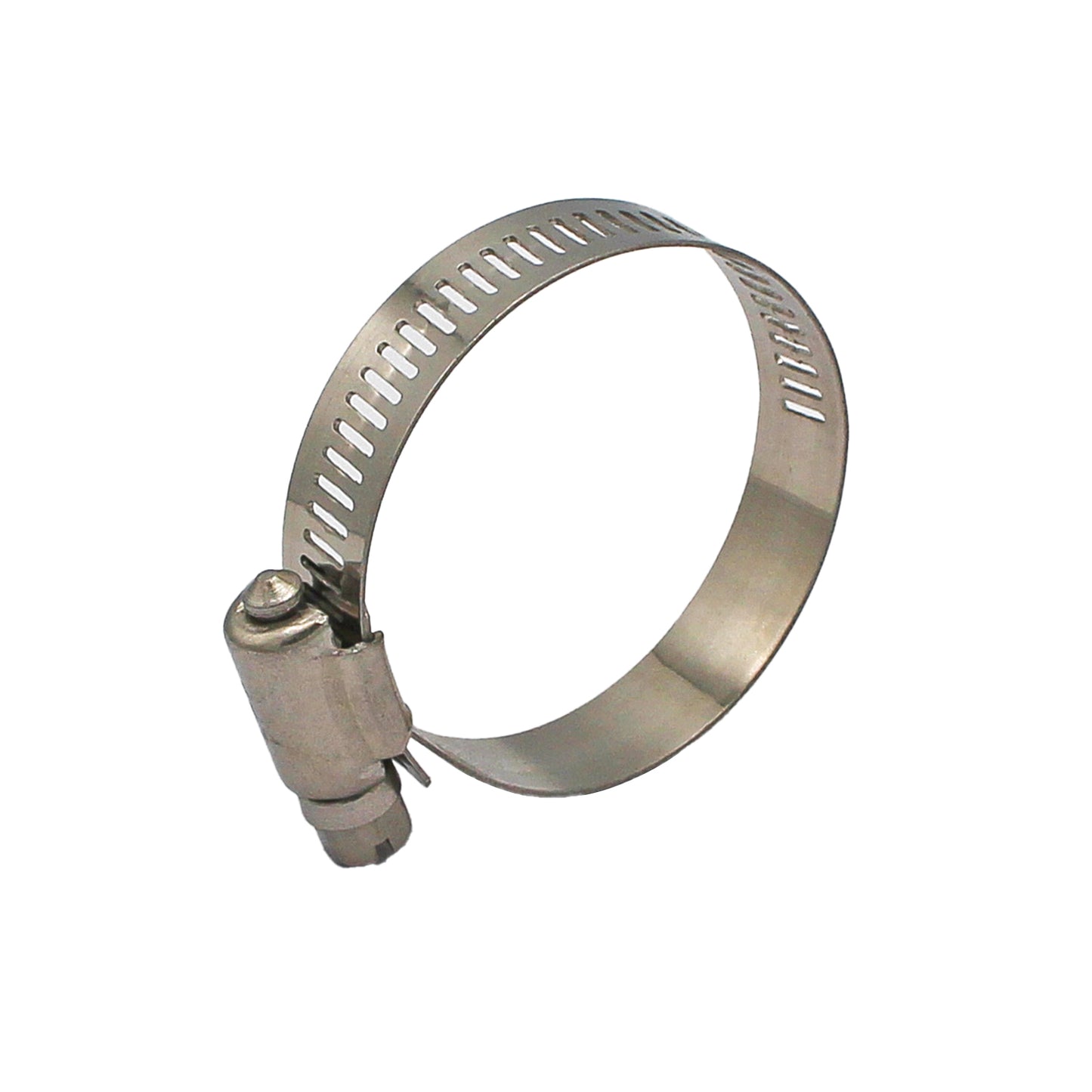 Stainless Steel Hose Clamp (27mm - 51mm | Approx. 2")