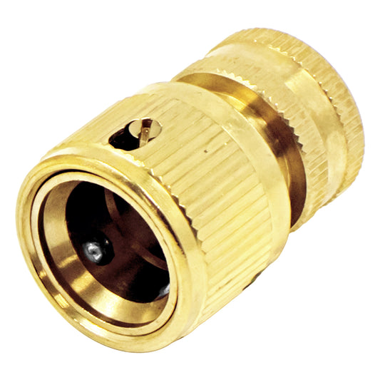 AlcoEngine Style Brass Fitting - 1/2" Female BSP X 1/2" Female QD