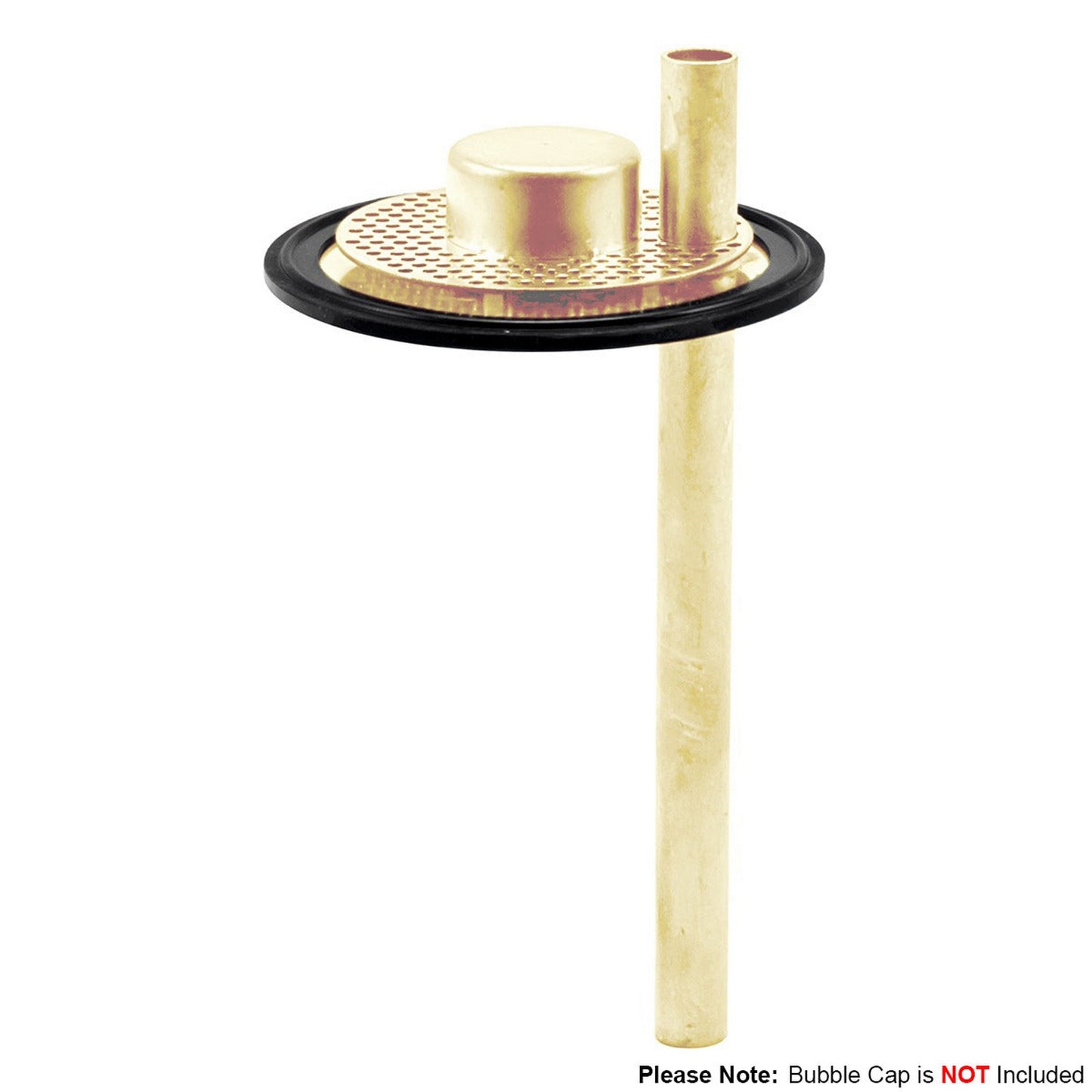 Kegland PolyPhoenix Silicone Tri-Clover Filter Plate Gasket - 3" TC