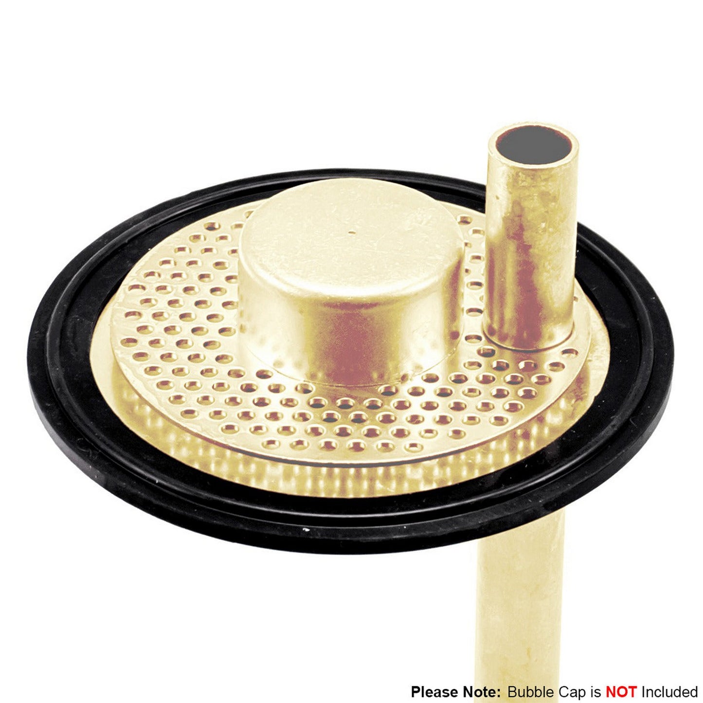 Kegland PolyPhoenix Silicone Tri-Clover Filter Plate Gasket - 3" TC