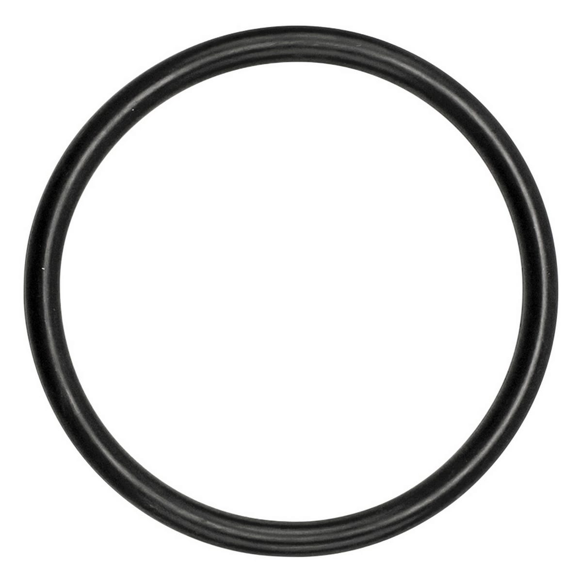FermZilla Conical Fermenter Pressure Lid O-Ring