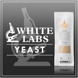 English Cider Yeast - WLP775