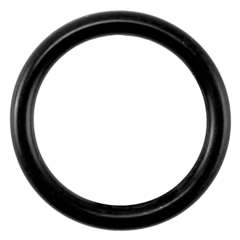 Taprite Sanke ‘D’ & ‘S’ Coupler Probe O-Ring