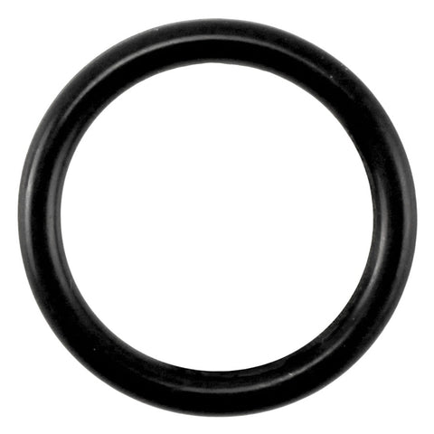 Taprite Replacement Probe O-Ring for Sanke A & G Couplers [CH5903]