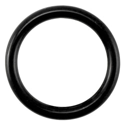 Taprite Replacement Probe O-Ring for Sanke U Coupler [44-25552-1]