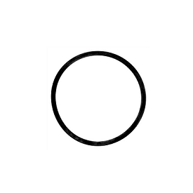 Taprite Replacement CO2 Sealing Ring for Sanke A Coupler