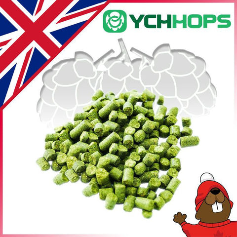 UK Fuggle Hop Pellets (1lb)