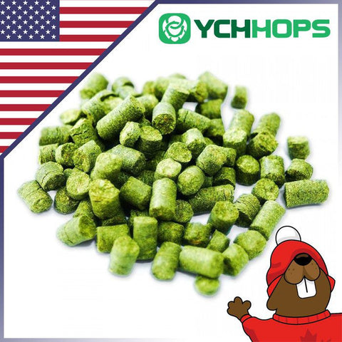 US Zythos Hop Pellets - 1oz