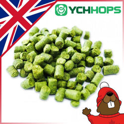 UK Fuggle Hop Pellets - 1oz